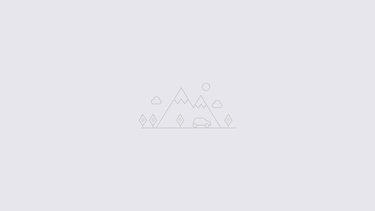 Alt Image C29