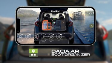 Dacia boot organiser