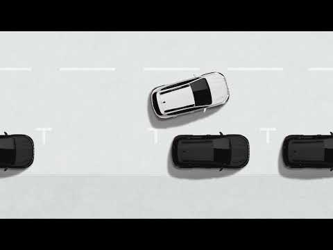 Duster - Park assist